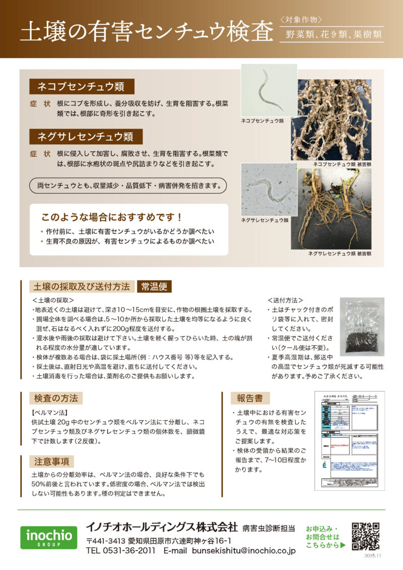 土壌の有害センチュウ検査