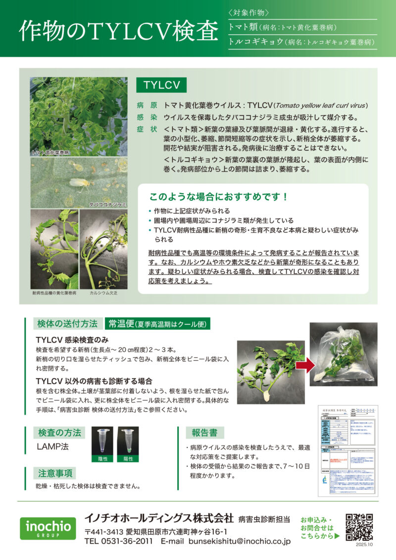 作物のTYLCV検査